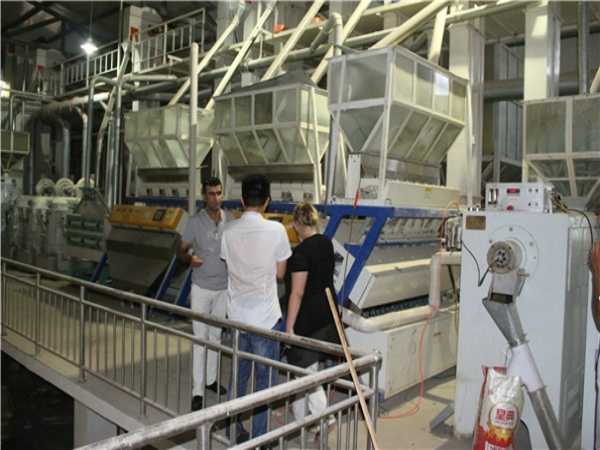 120噸大米生產線 120TPD Rice mill production line